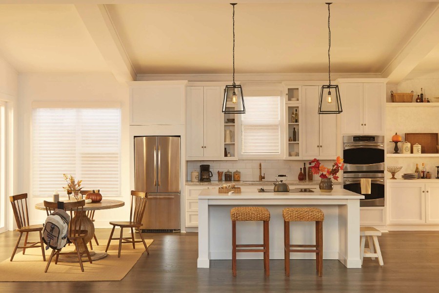 why-every-home-needs-a-lutron-installer